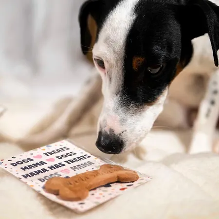 Mama Shelter Zürich